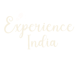 experience india tour delhi